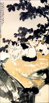 Xu Beihong un gato tradicional de China Pinturas al óleo